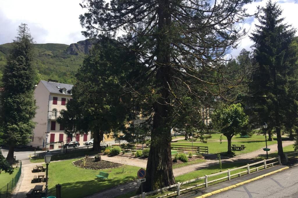 Cocon De La Vallee D'Ossau , Veritable Havre De Paix - 4 A 6 Pers อูซ์-บอนส์ ภายนอก รูปภาพ